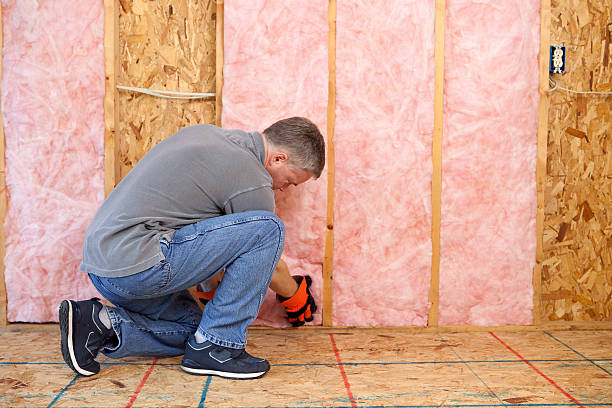 Best Energy Efficiency Solutions in Leslie, MI